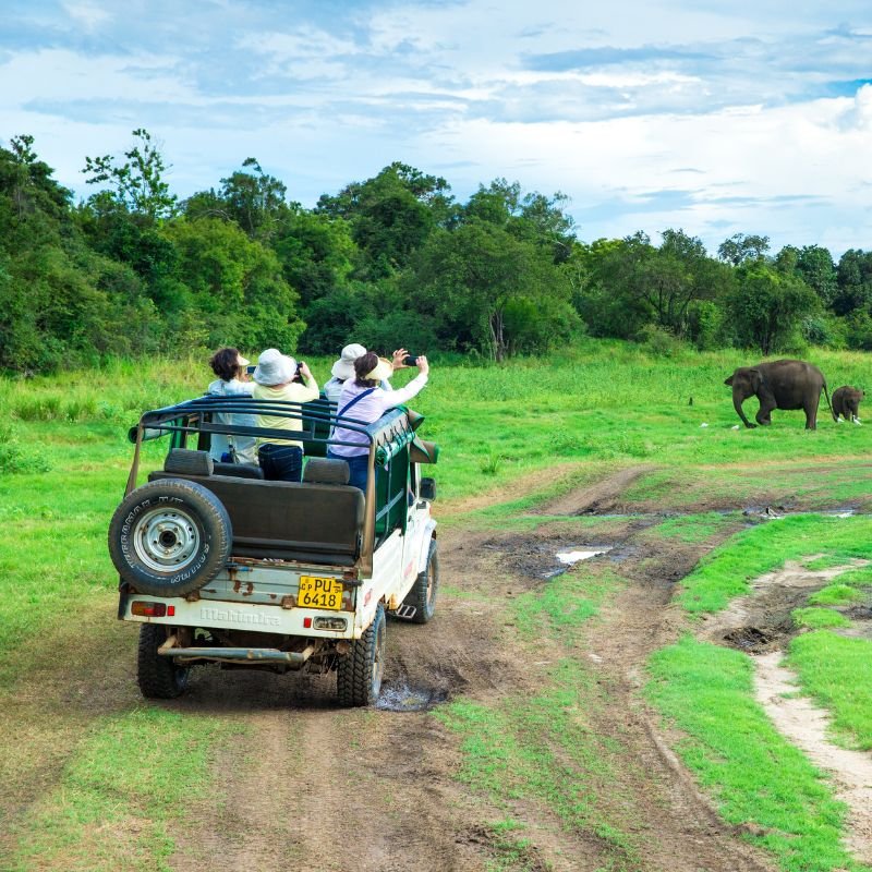 Untitled design - 2025-09-04T122149.871