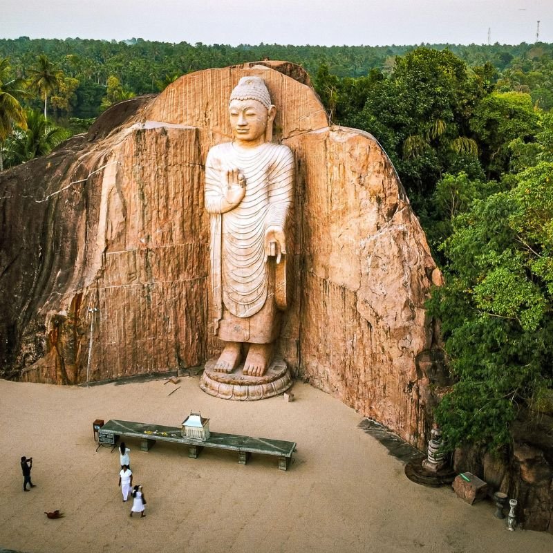 Untitled design - 2025-09-04T122439.801