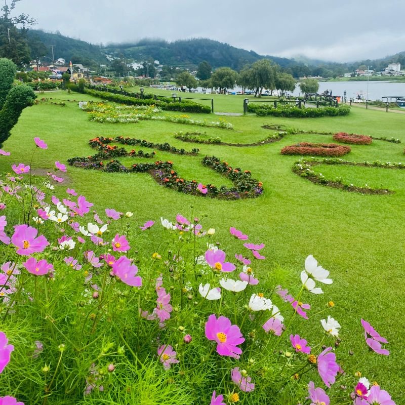 Untitled design - 2025-09-04T122647.515