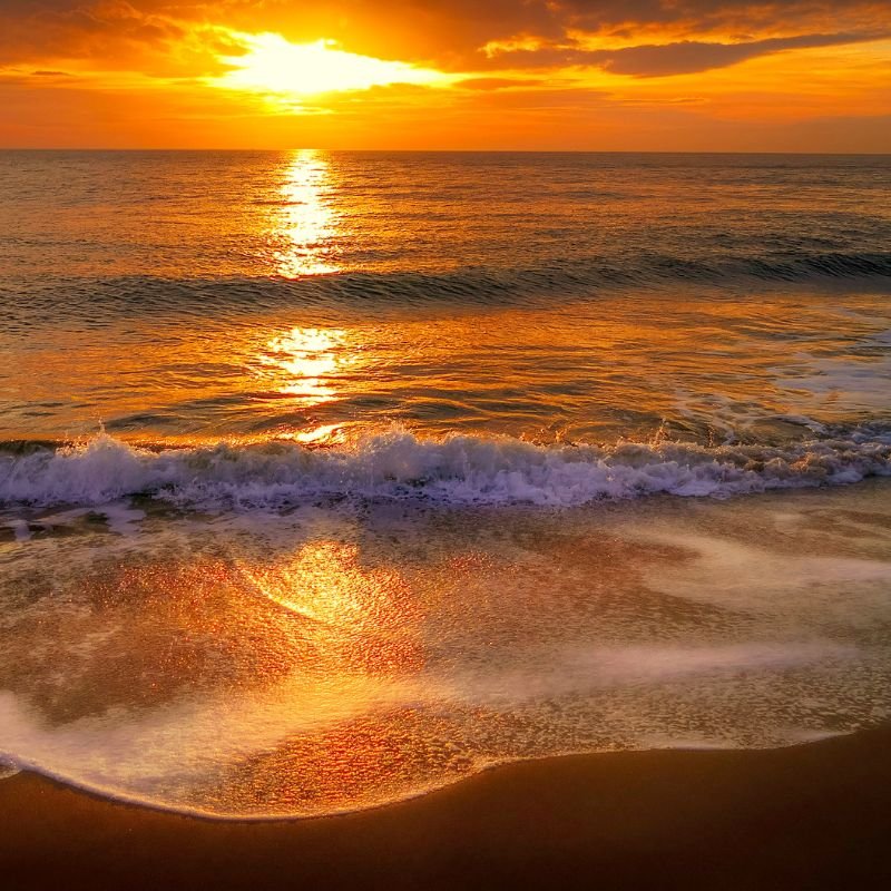 Untitled design - 2025-09-04T123000.732