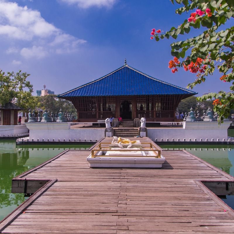 Untitled design - 2025-09-04T123128.277