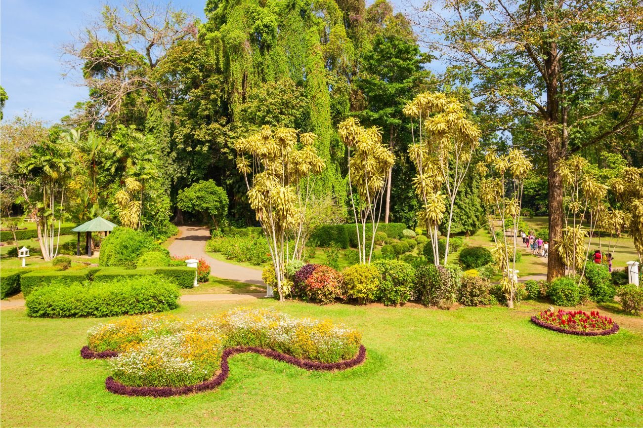 Untitled design - 2025-09-05T103210.482