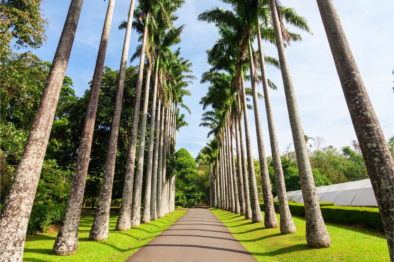 Untitled design - 2025-09-05T103252.083