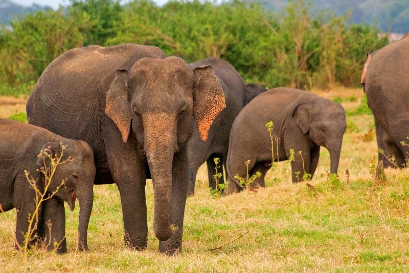 Untitled design - 2025-09-05T121115.482