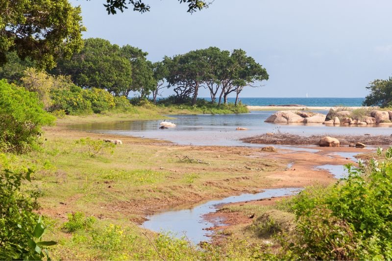 Untitled design - 2025-09-05T121218.993