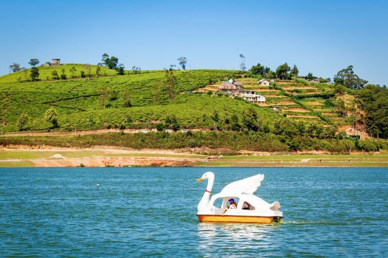 Untitled design - 2025-09-05T123640.065