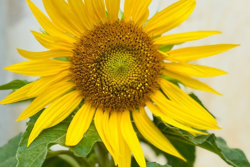 Untitled design - 2025-09-05T123703.602