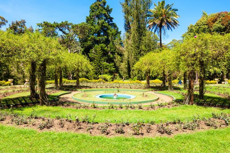 Untitled design - 2025-09-05T123746.653