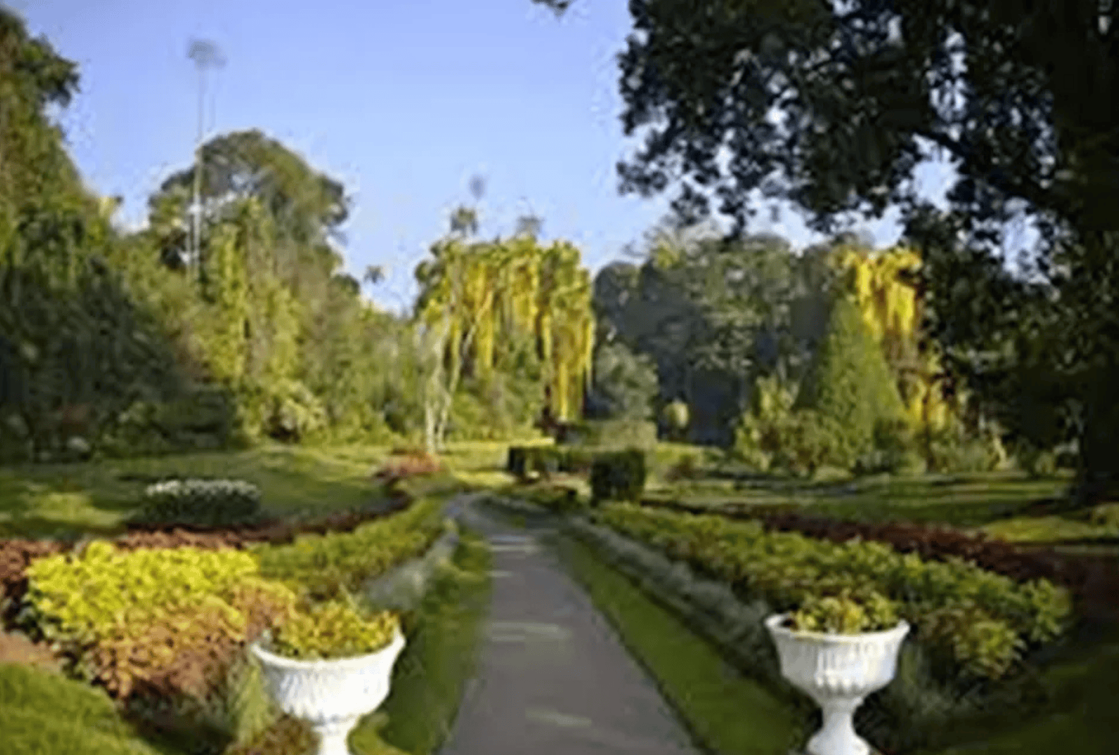 Untitled design - 2025-09-16T101900.117