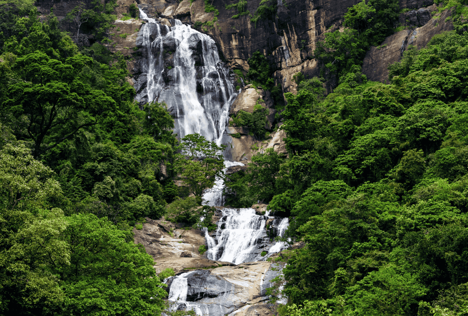 Untitled design - 2025-09-16T104527.593