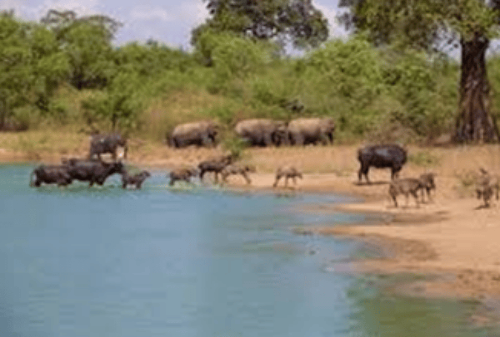 Untitled design - 2025-09-16T104552.174