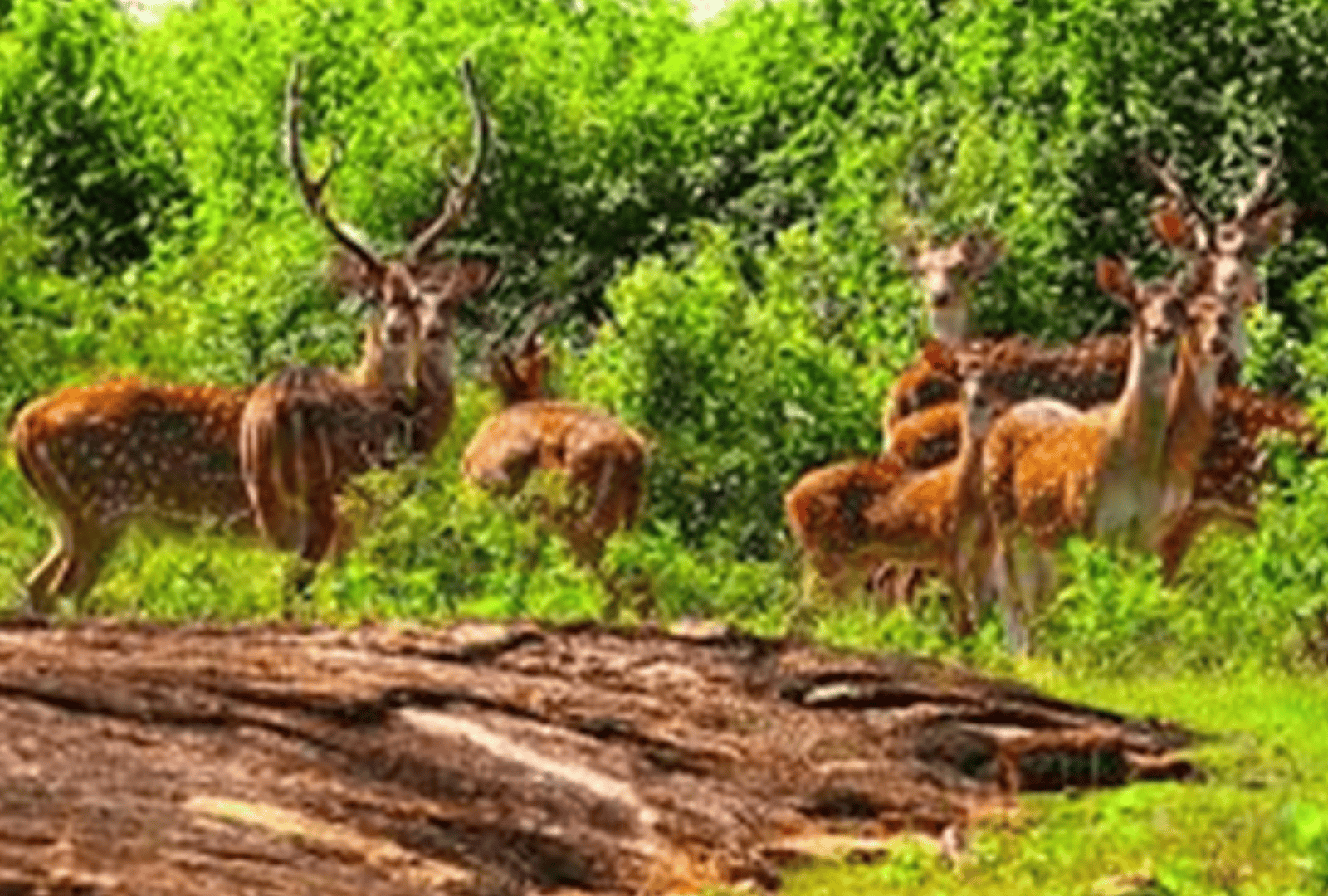 Untitled design - 2025-09-16T104615.545