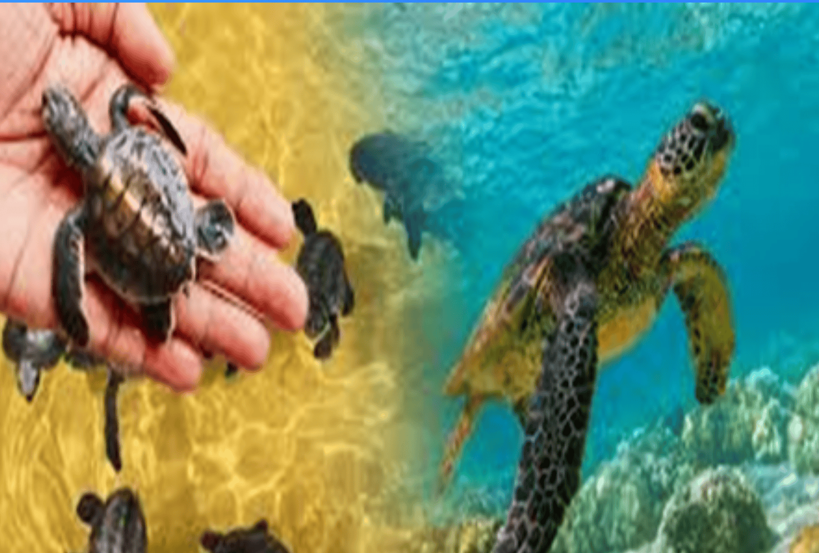 Untitled design - 2025-09-16T105144.655