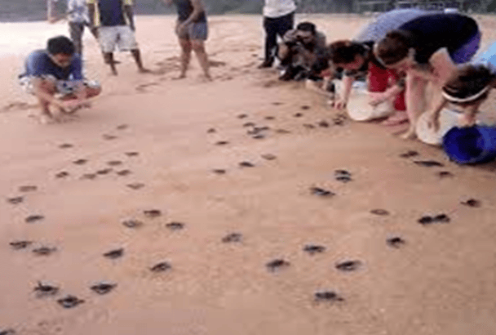 Untitled design - 2025-09-16T105256.241