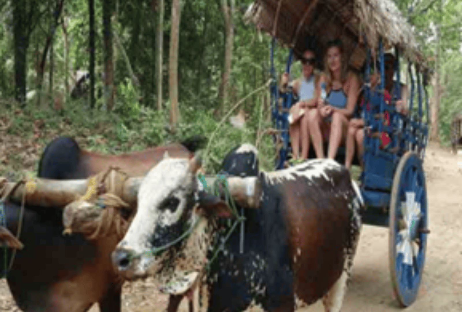 Untitled design - 2025-09-16T112852.002