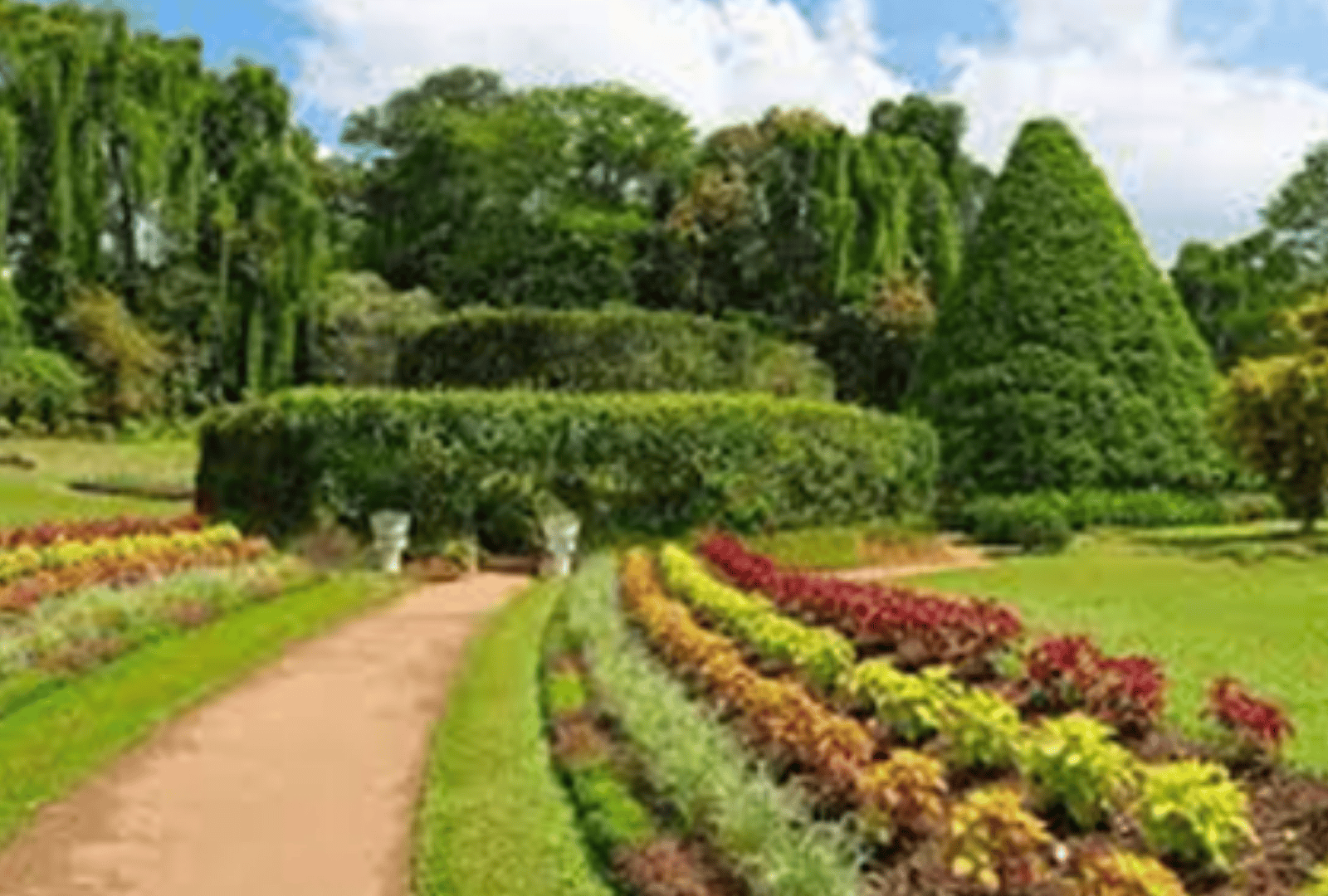 Untitled design - 2025-09-16T114012.246