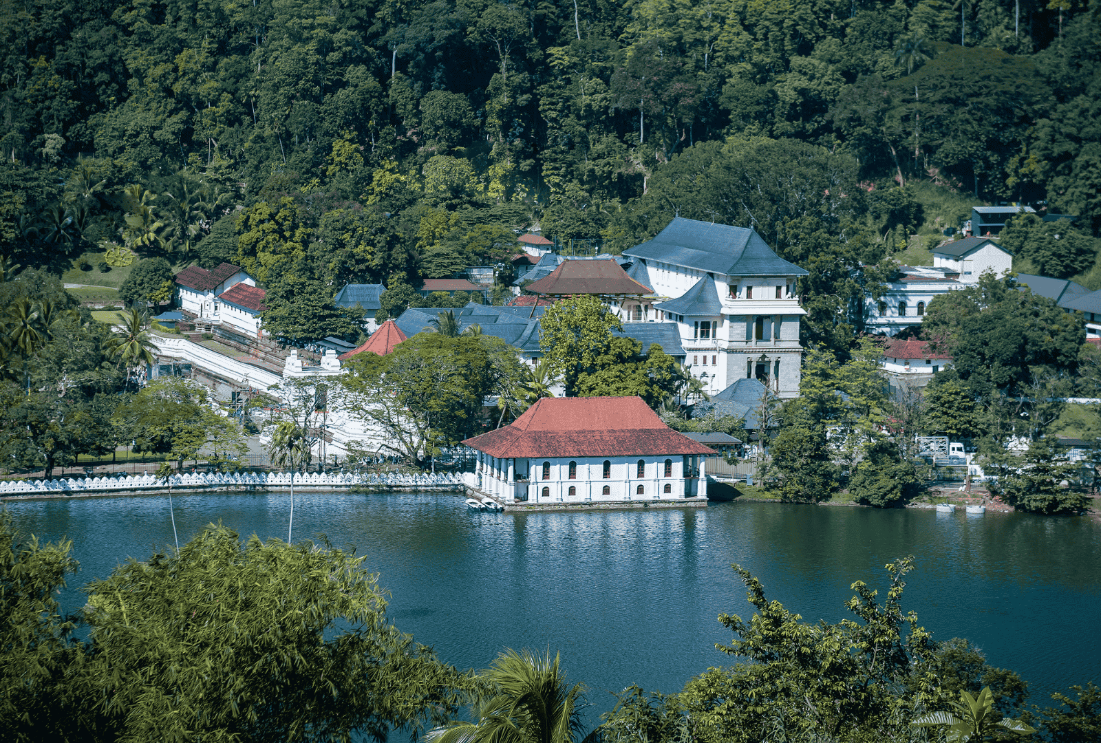 Untitled design - 2025-09-16T114201.389