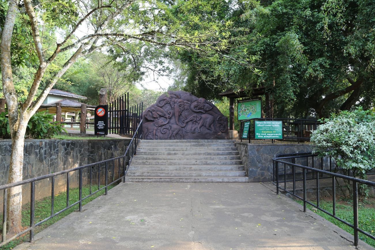 Untitled design - 2025-09-22T140134.267