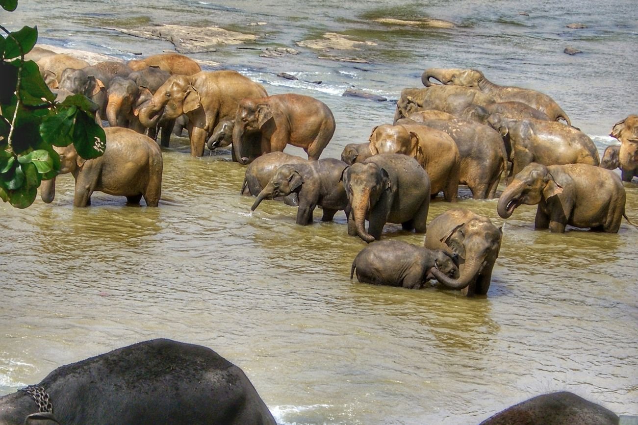 Untitled design - 2025-09-22T140158.868