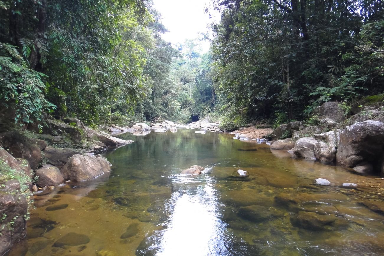 Untitled design - 2025-09-22T141224.724