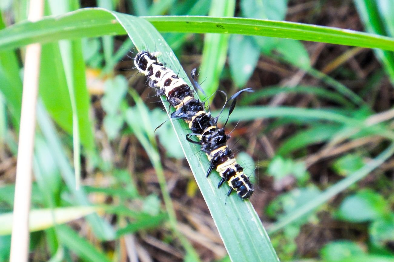 Untitled design - 2025-09-22T141253.697